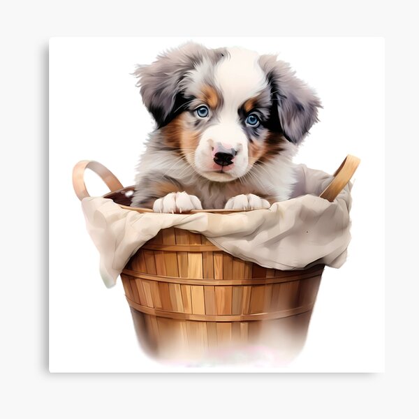 Artikel-Vorschau von Australian Shepard, designt und verkauft von SRLND.
