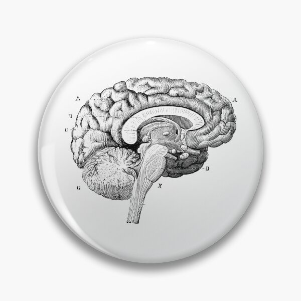 Item preview, Brain Diagram designed and sold by Desire To Inspire.