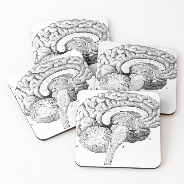 Item preview, Brain Diagram designed and sold by Desire To Inspire.
