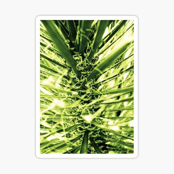 Palm Tree Sticker