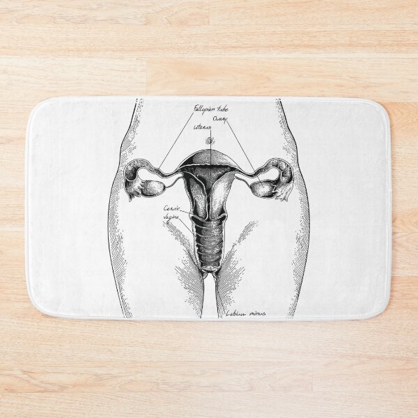 Item preview, Female Reproductive Anatomical Diagram  designed and sold by Desire To Inspire.