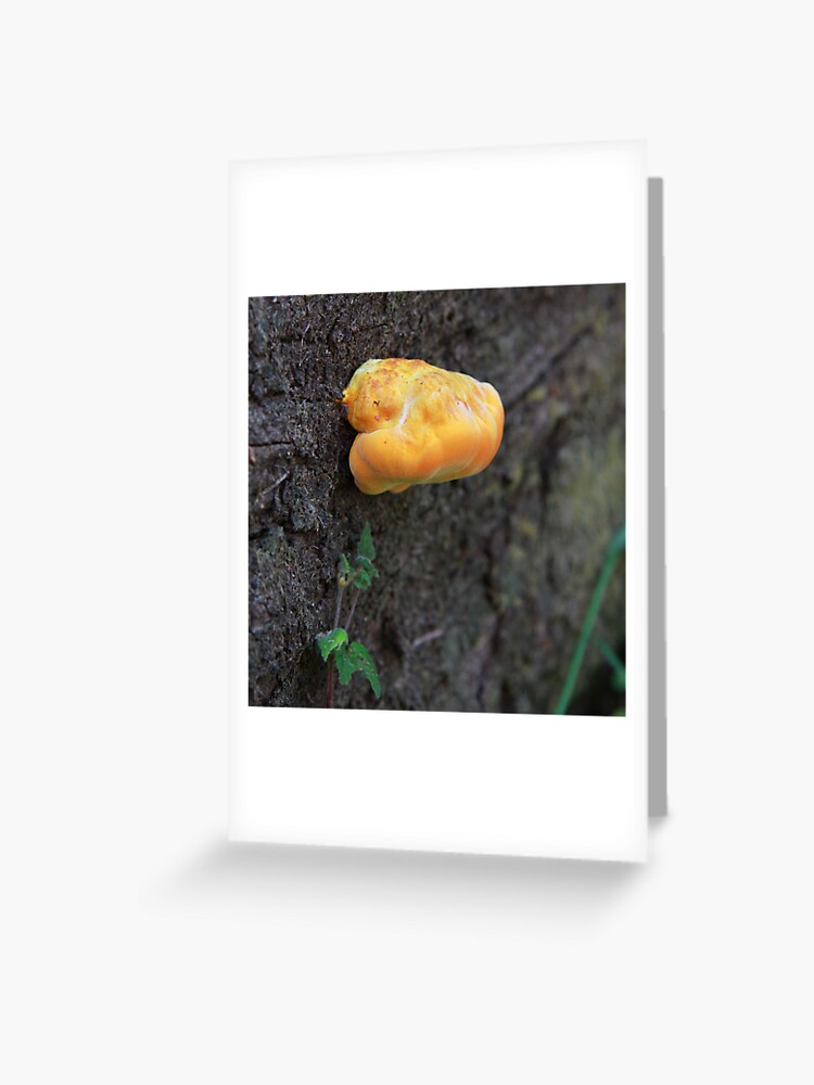 Thumbnail 1 of 2, Greeting Card, Fungus designed and sold by mistered.