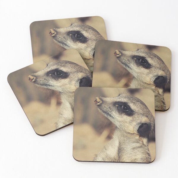Item preview, Meerkat looking designed and sold by Jurke-333.