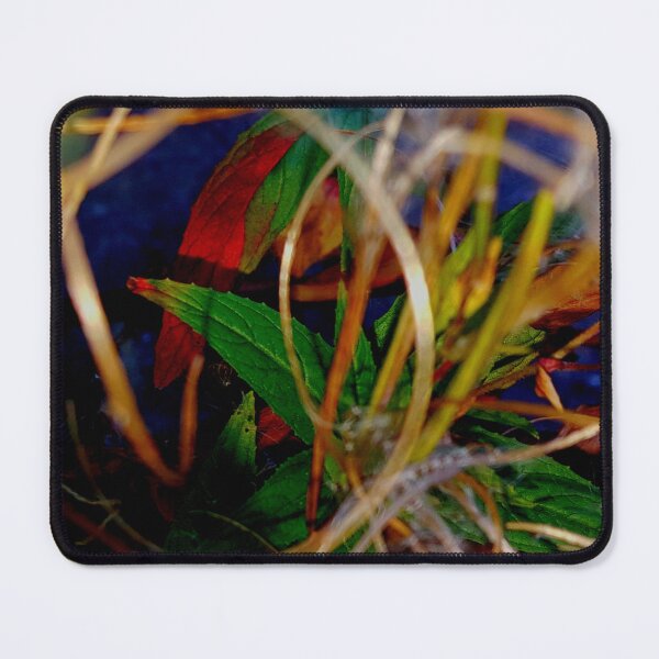 Item preview, A Tangle of Autum Grass & Leaves designed and sold by Philip-F-Webb.