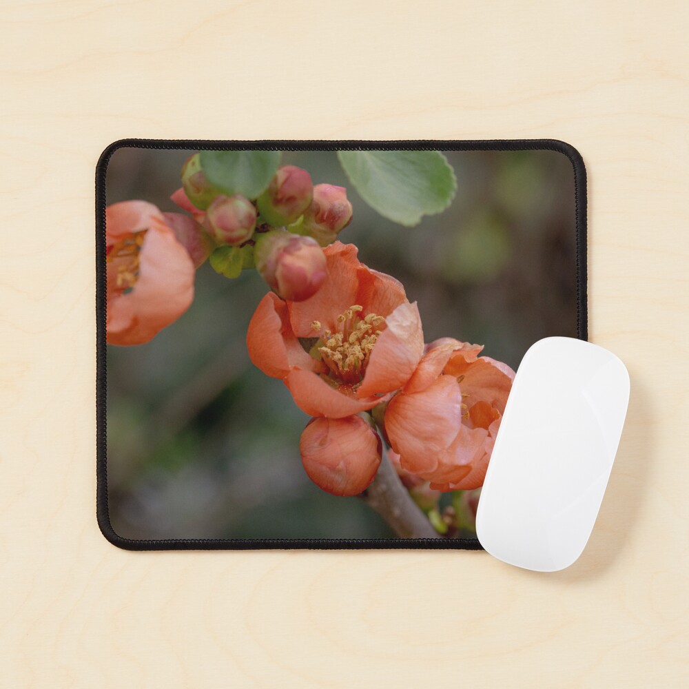 Item preview, Mouse Pad designed and sold by SitandRelax.
