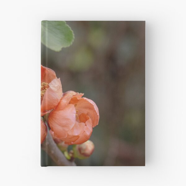 Item preview, Spring Blossoms designed and sold by SitandRelax.