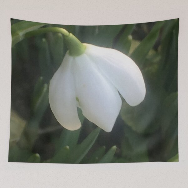 Item preview, Stunning Snowdrop designed and sold by carrizizi.