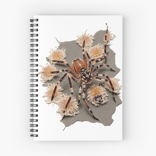 Item preview, Real Brown Recluse Spider Sticker designed and sold by ArtDesignsByWin.