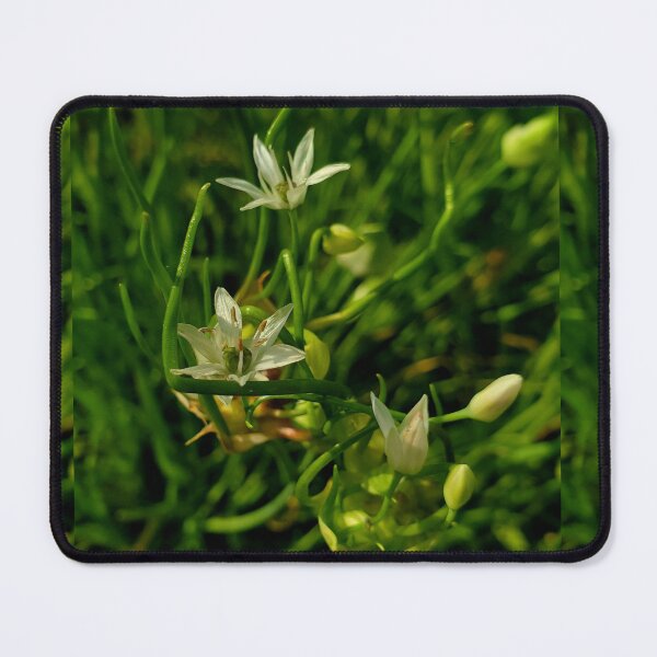 Item preview, Meadow Garlic designed and sold by TwistedStag.