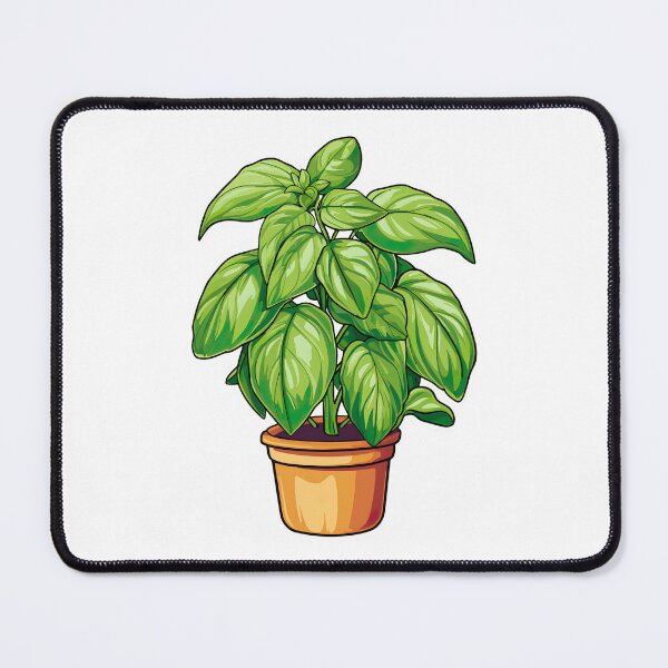 Item preview, Basil Plant designed and sold by ImageTcraft.