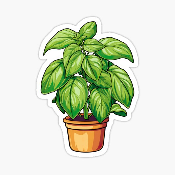 Basil Plant Art Board Print