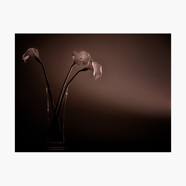 Item preview, Shine designed and sold by Kevin Ng.