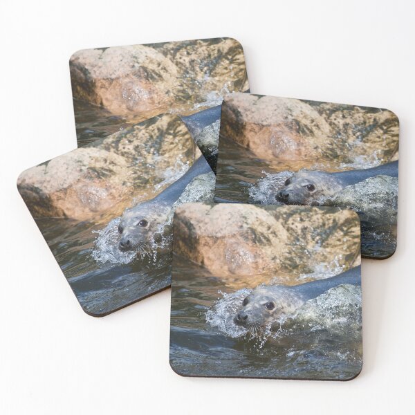 Item preview, Grey Seal Splash designed and sold by Jonathan Lundkvist.