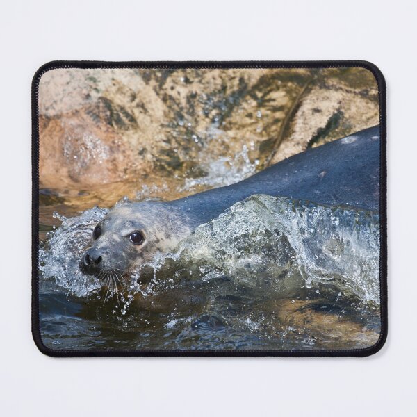 Item preview, Grey Seal Splash designed and sold by Jonathan Lundkvist.