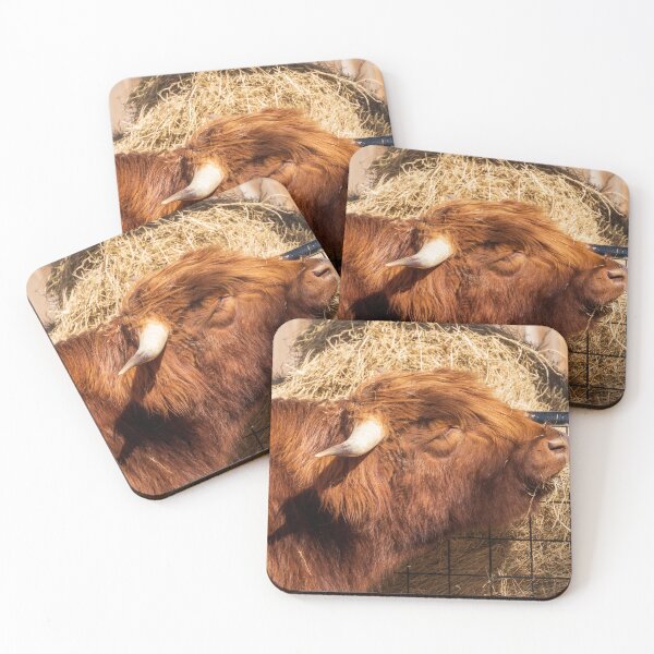 Item preview, Food Time Best Time - Scottish Highland Cow designed and sold by TinyDinoDesigns.