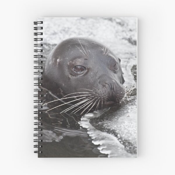 Item preview, Harbour Seal in Ice designed and sold by Jonathan Lundkvist.