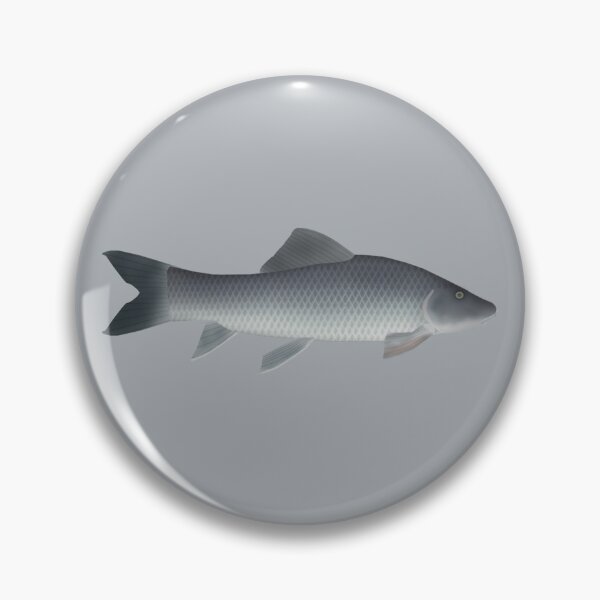 Item preview, African Carp designed and sold by fishfolkart.