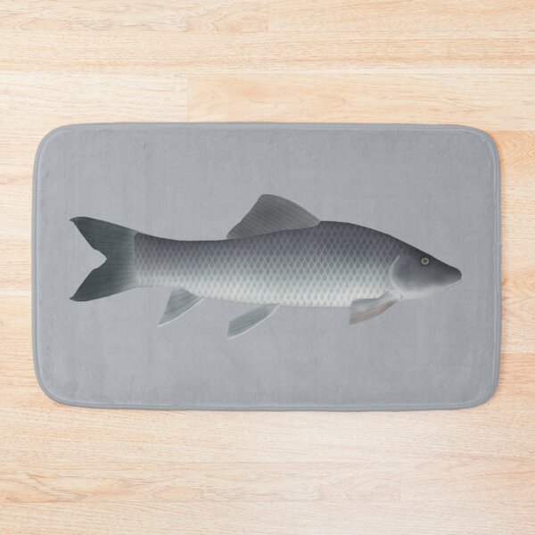 Item preview, African Carp designed and sold by fishfolkart.