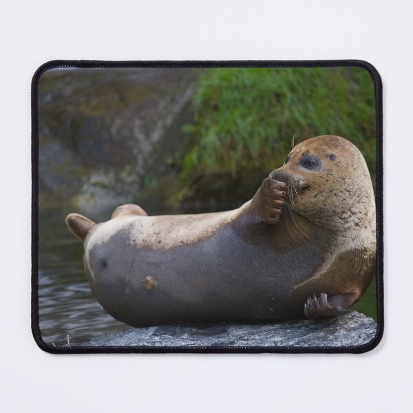 Item preview, Amused Harbour Seal designed and sold by Jonathan Lundkvist.