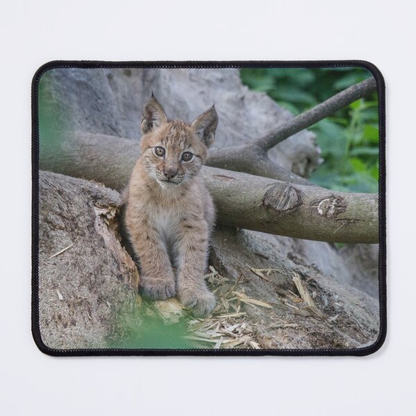 Item preview, Lynx Cub 2 designed and sold by Jonathan Lundkvist.