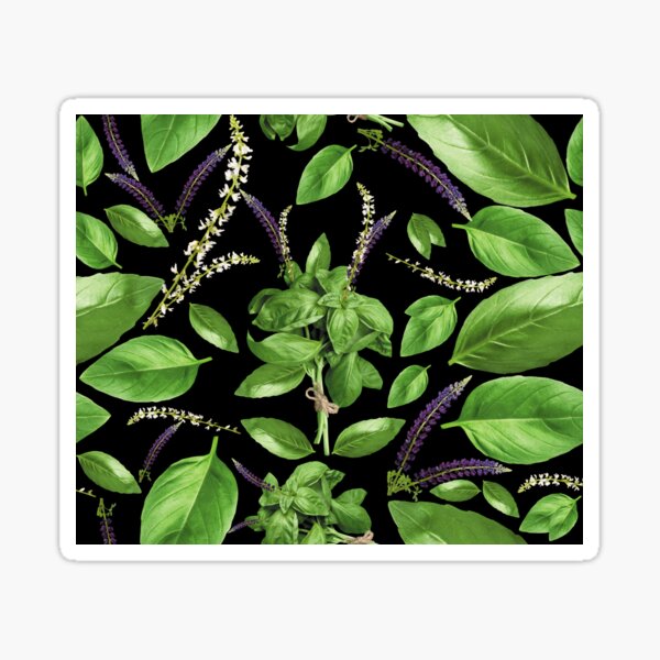 Item preview, Basil Plant-Nature plants designed and sold by printstars.
