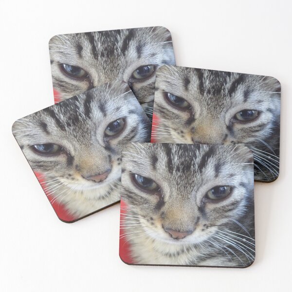 Item preview, The young cat - 2 designed and sold by walterfest.