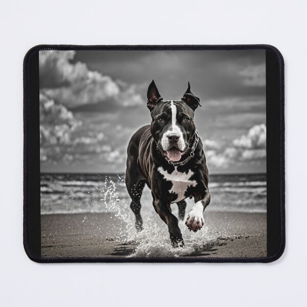 Item preview, Black and White Pitbull on the beach #4 designed and sold by Shiwwa.