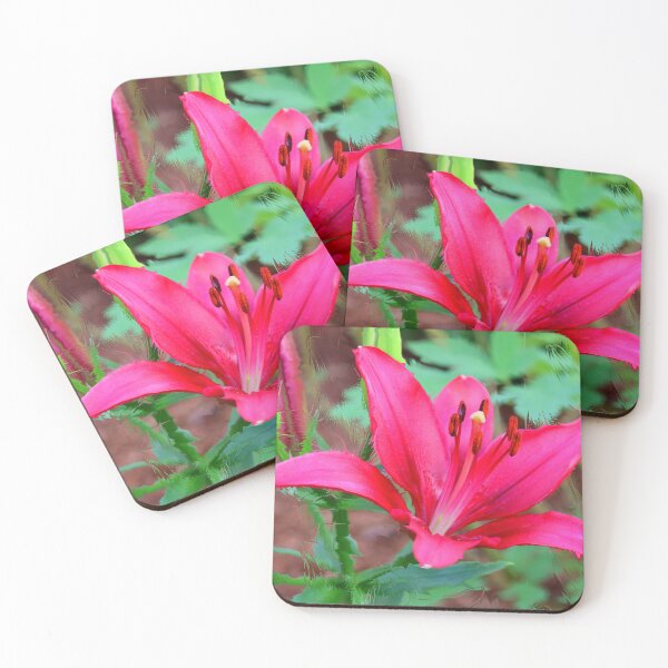Item preview, Red Burgundy Day Lily designed and sold by BostonArcImage.