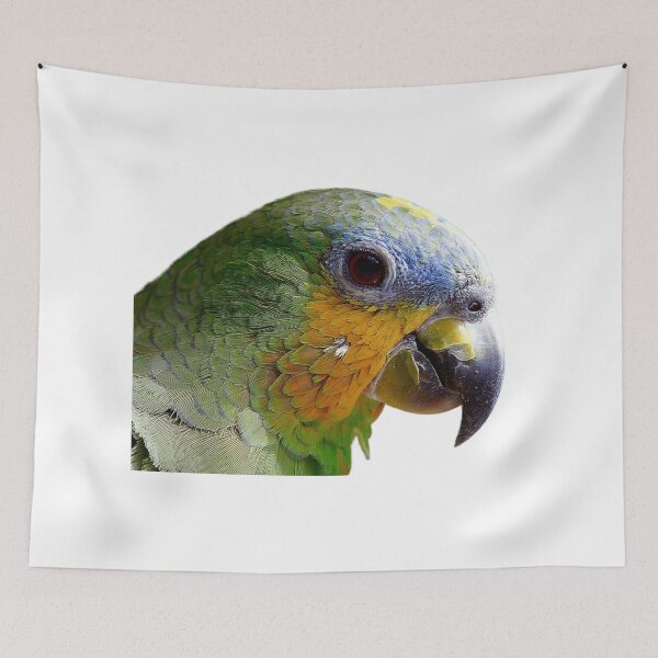 Item preview, El colorido mundo de los loros designed and sold by pedroserpa.