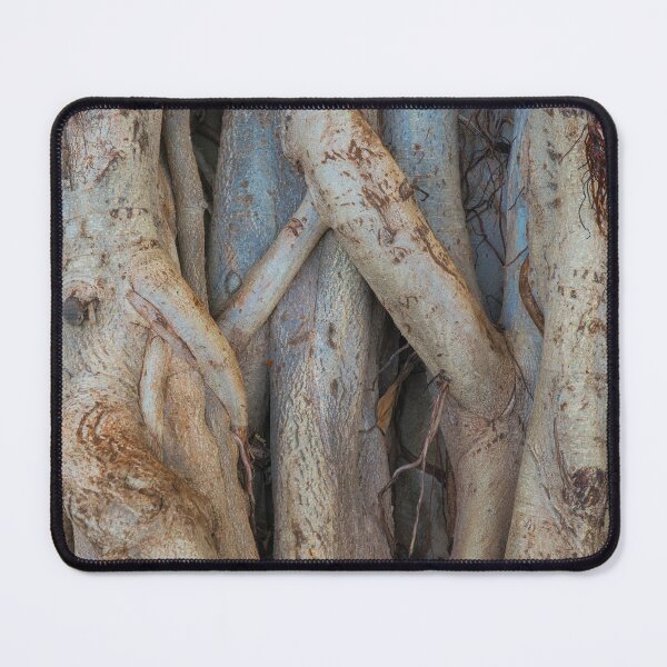 Item preview, Thick Hawaiian Bayan Tree Roots designed and sold by Bill Spengler's Photographic Thoughts.