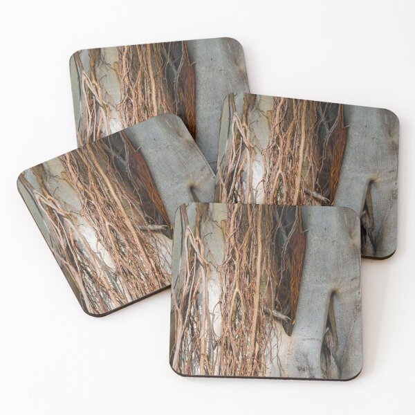 Item preview, In The Hawaiian Bayan Tree Roots designed and sold by Bill Spengler's Photographic Thoughts.