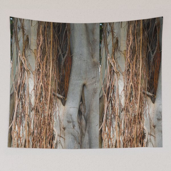 Aperçu de l'œuvre Dans les racines hawaïennes de l'arbre Bayan créée et vendue par Bill Spengler's Photographic Thoughts.