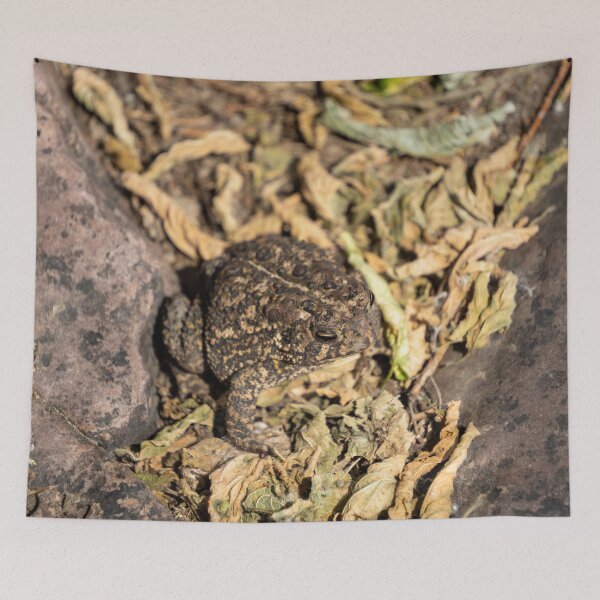Item preview, Random Toad designed and sold by TinyDinoDesigns.