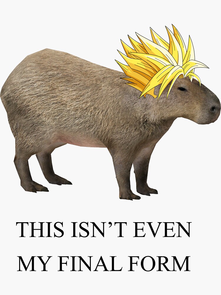 KAPIBARA CAPYBARA