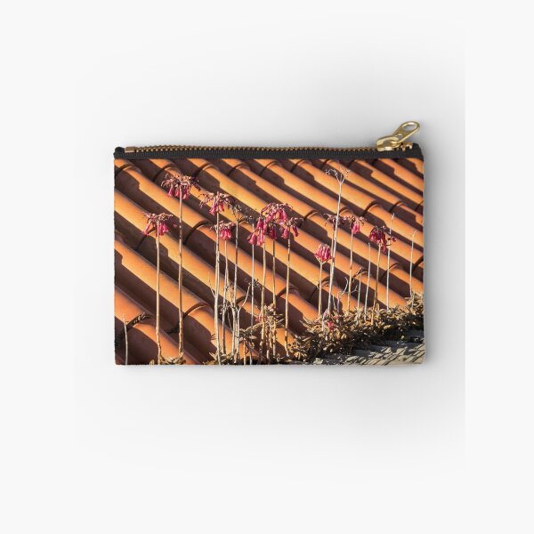 Item preview, Unexpected Garden - the Incredible Adaptive Powers of Aloe Maculata designed and sold by Georgia Mizuleva.
