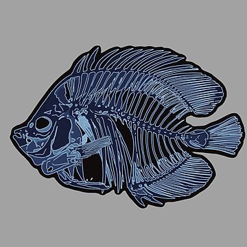 Butterfly Fish Skeleton X-Ray Sticker for Sale by AnnaWoodArtUK