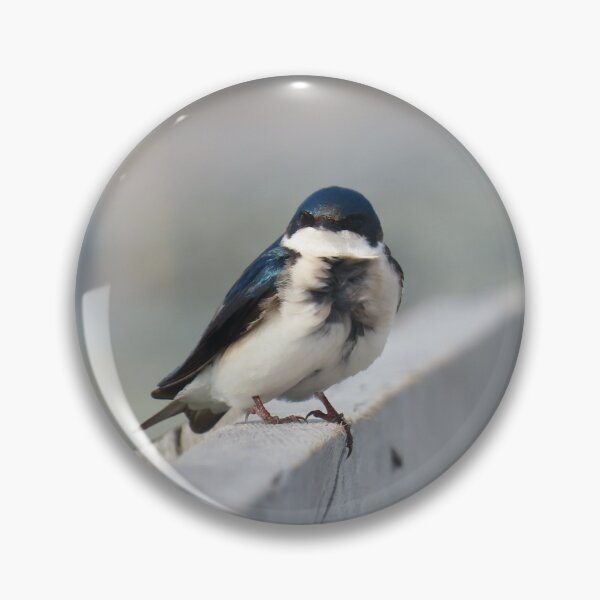 Item preview, Tree Swallow on Salt Water Marsh Trail designed and sold by Monica-Stroud.