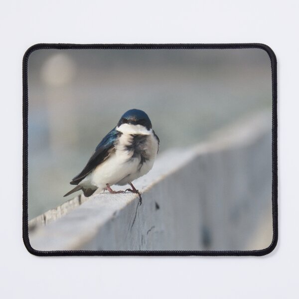 Item preview, Tree Swallow on Salt Water Marsh Trail designed and sold by Monica-Stroud.