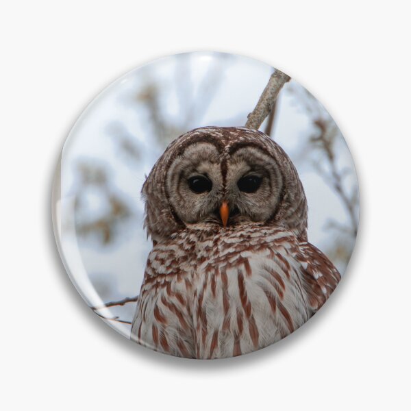 Artikelvorschau, Barred Owl entworfen und verkauft von FlyingLilly.