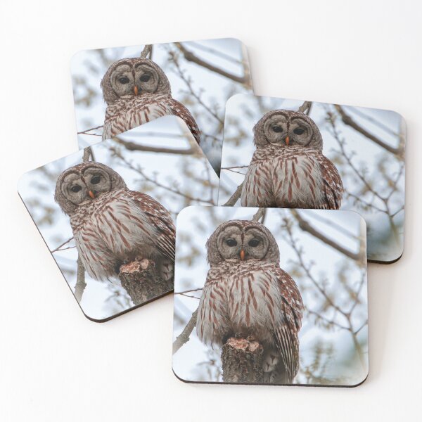 Item preview, Barred Owl designed and sold by FlyingLilly.