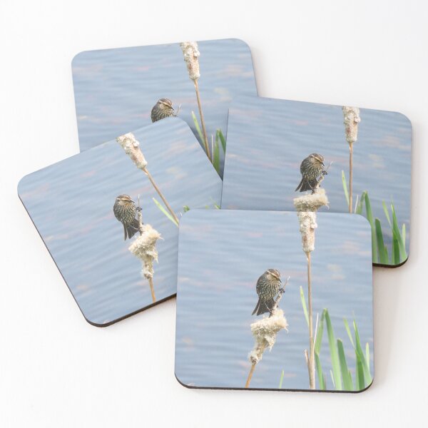 Item preview, Female Red-Winged Blackbird designed and sold by Monica-Stroud.
