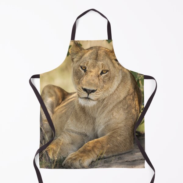 Item preview, Lion Under a Tree Botswana Africa designed and sold by PhotoArt by Joan Carroll.