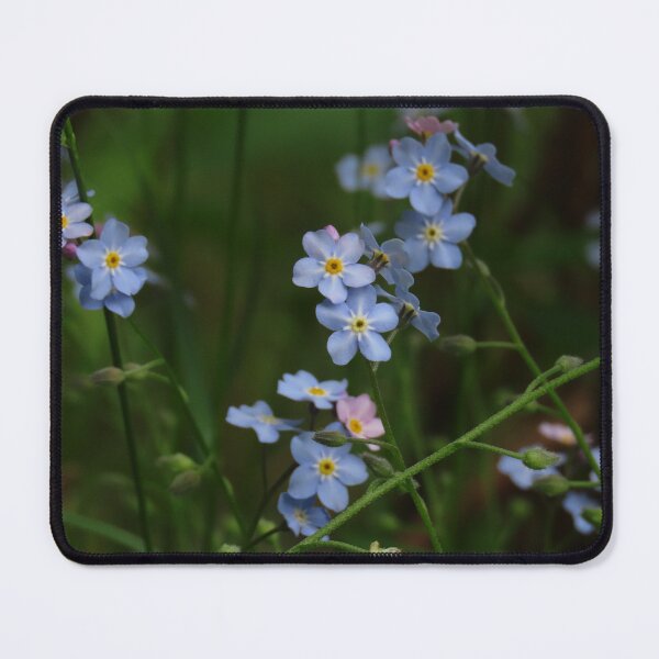 Item preview, Forget-Me-Not Flowers (1 of 2) designed and sold by Monica-Stroud.