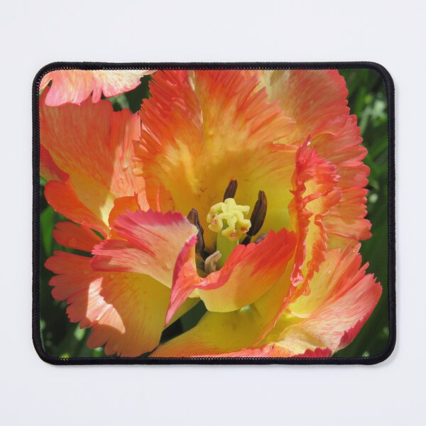 Item preview, Peachy Companion to the Yellow Parrot Tulip designed and sold by Monica-Stroud.