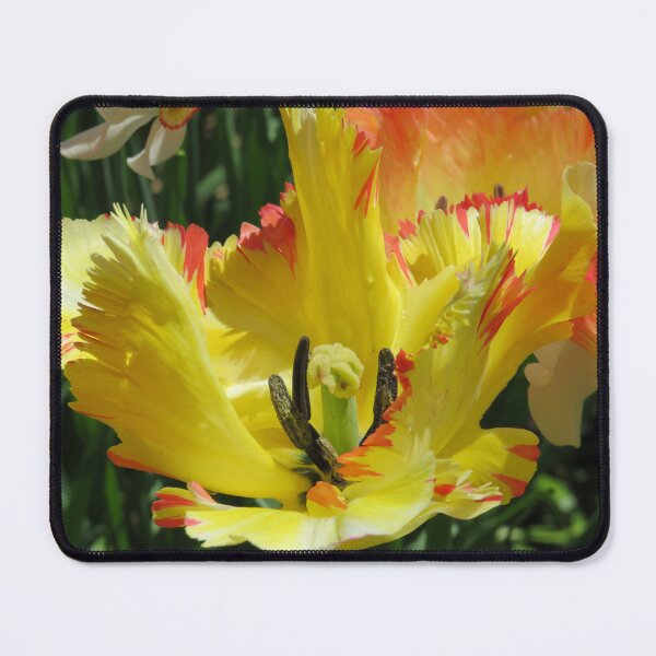 Item preview, Cheery Yellow Parrot Tulip designed and sold by Monica-Stroud.