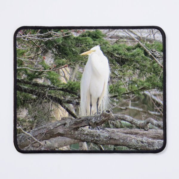 Item preview, GREAT WHITE EGRET - LOOKING LEFT designed and sold by Monica-Stroud.