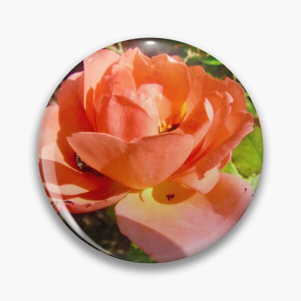 Item preview, Orange Rose designed and sold by Shulie1.