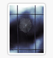 Midnight Blue Spider Web Sticker
