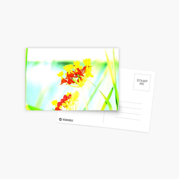 Flower Power Postcard
