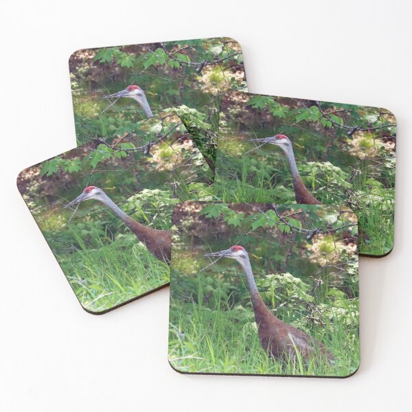 Item preview, Sandhill Crane In The Tall Grass designed and sold by Deb Oppermann.